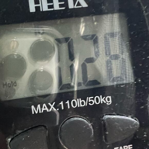 Anthropologie Trinity Blouse M Green Silk Paisley Sheer Ruffle Forest Fairy Top - Picture 13 of 13